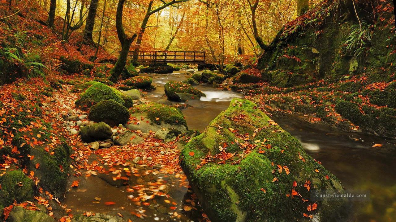 Herbst Strom Fallen Leaves Landschaftsmalerei von Fotos zu Kunst Ölgemälde